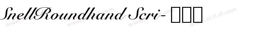 SnellRoundhand Scri字体转换